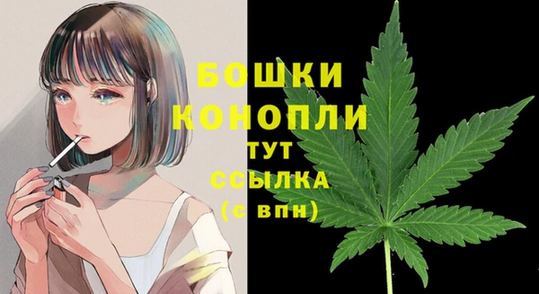 ГАЛЛЮЦИНОГЕННЫЕ ГРИБЫ Сосновоборск
