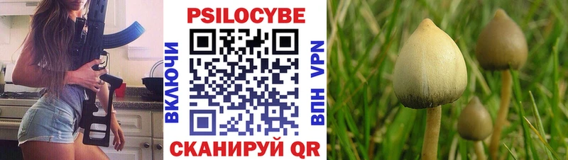 Псилоцибиновые грибы Cubensis  закладки  Выборг 